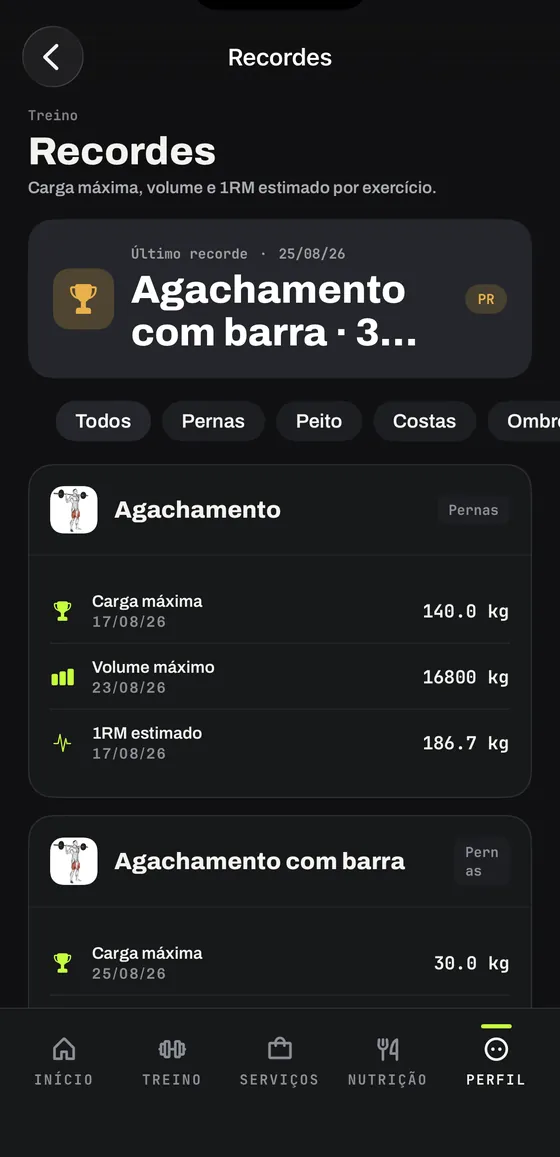 Recordes pessoais de carga, volume e 1RM por exercício